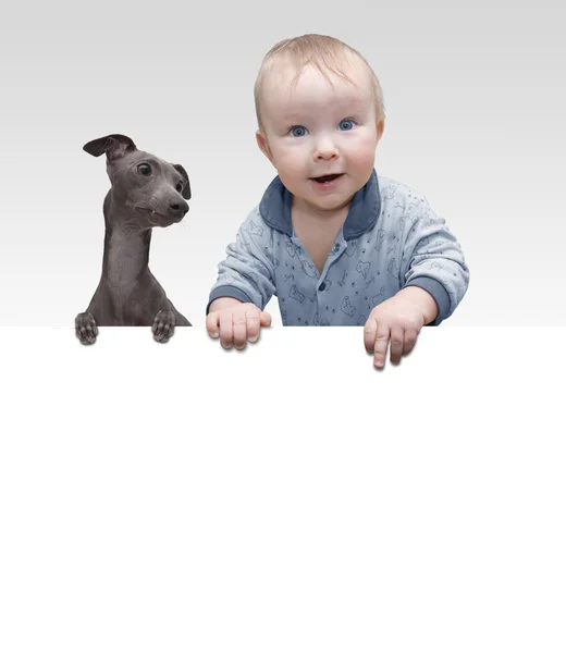 Дитина та собака — стокове фото