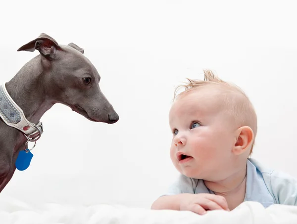 Niño y perro — Foto de Stock