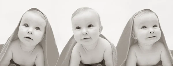 Tres bebés en blanco y negro —  Fotos de Stock