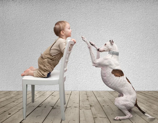 Barn och hund — Stockfoto