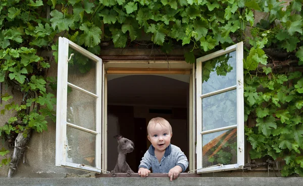 Bebé y perro —  Fotos de Stock