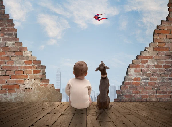 Baby und Hund — Stockfoto