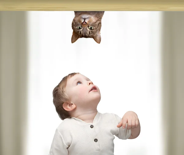 Маленький хлопчик грає з кішкою Стокове Фото