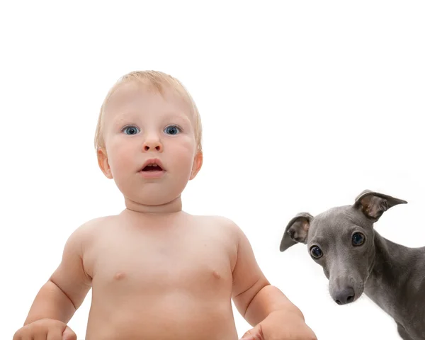 Niño y perro con — Foto de Stock