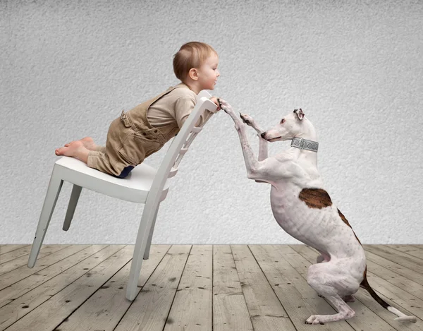 Baby und Hund — Stockfoto