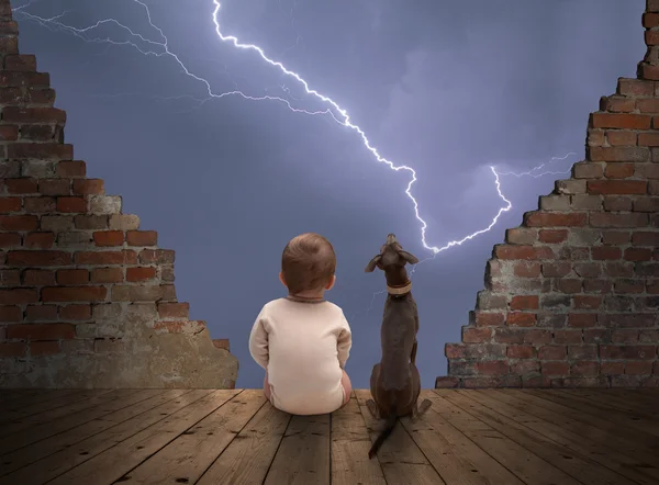 Baby and dog — Stock Photo, Image