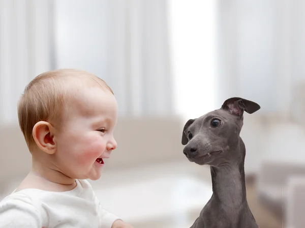 Bebê e cachorro — Fotografia de Stock