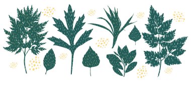 Yeşil yapraklar şirin desenli tasarım elementleri. Beyaz arkaplanda izole edilmiş vektör bırakırName