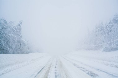 Kuzey boş yol manzarasında kar fırtınası. Beyaz ağaçlar ve arka planda sis var. Yolculuk konsepti. Ağaçlar ve yol kenarları karla kaplı. Fotokopi alanı olan Noel fotoğrafı