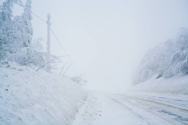 Kuzey boş yol manzarasında kar fırtınası. Beyaz ağaçlar ve arka planda sis var. Yolculuk konsepti. Ağaçlar ve yol kenarları karla kaplı. Fotokopi alanı olan Noel fotoğrafı