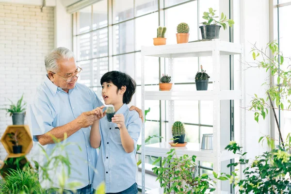 Asiatischer Rentner Opa Und Sein Enkel Verbringen Viel Zeit Miteinander — Stockfoto