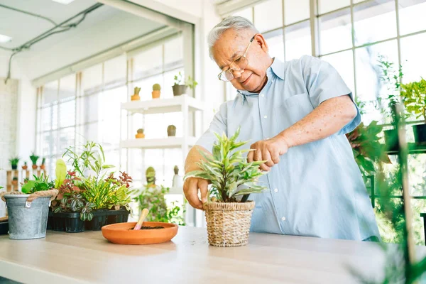 Asians retired grandfathers love to take care of the plants by scooping the soil in preparation for planting trees. Retirement activities.