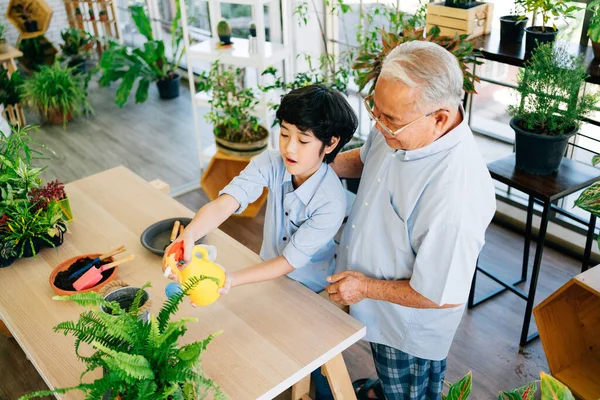 Asian retirement grandfather and his grandson spending quality time together insulated at home. Enjoy taking care of plants, watering. Family bonding between old and young. Concept of quarantine.