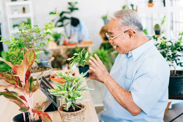 Asian retirement grandfather live on a tablet to sell plants. Enjoy taking care of plants. Retirement hobby and lifestyle. Grandfather work from home. Concept of quarantine.