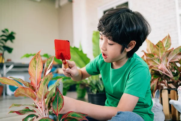 Asian Male Kid Enjoys Taking Care Plants Scooping Soil Pot — Stock Photo, Image