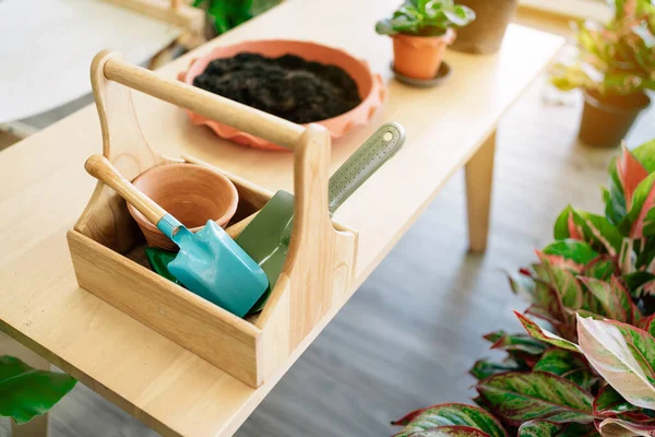 Colorful aluminum shovel and empty plant pot inside wooden basket on the table with preparing soil. Tools and equipment for indoor gardening. Hobby and leisure activity.