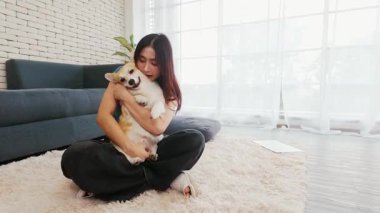 Genç bir kadın parlak pencerenin yanında kanepenin üzerinde mutlu Corgi yavrularına sarılıyor. Evcil hayvan arkadaşlığı, köpek sevgisi, hayvan sevgisi ve köpek, yoldaş, insan kucaklaşması gibi sıcak bağlar. 4k video