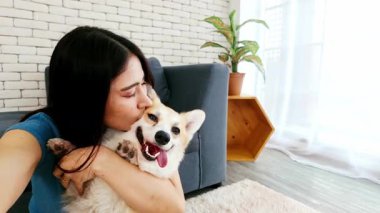 Genç bir kadın parlak pencerenin yanında kanepenin üzerinde mutlu Corgi yavrularına sarılıyor. Evcil hayvan arkadaşlığı, köpek sevgisi, hayvan sevgisi ve köpek, yoldaş, insan kucaklaşması gibi sıcak bağlar. 4k video