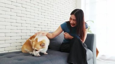 Gülümseyen kadın, beyaz tuğlalı duvarlı parlak bir oturma odasında, gri bir kanepede bir Corgi 'yi okşuyor, evin içinde samimi bir anı yakalıyor..