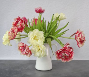 Vazoda bahar laleleri