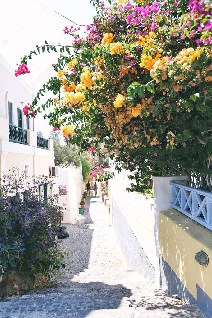 Charming streets of old mediterranean towns