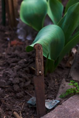 Eski paslı bir bıçak, tahta bir sapı yere saplanmış.