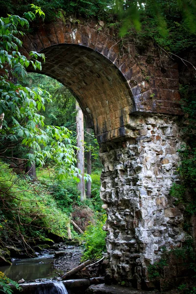 Altes Aquädukt Laubwald — Stockfoto