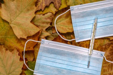 Kuru sonbahar yapraklarında insan vücudunun sıcaklığını ölçmek için mavi maskeler ve cam termometre..