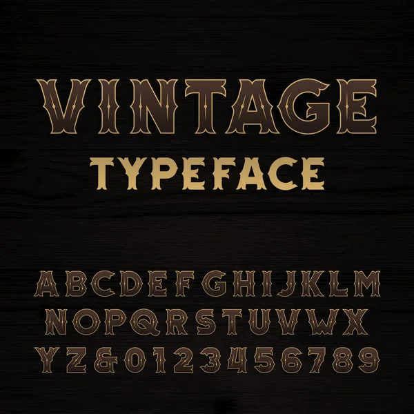 Vintage Alphabet Schrift. Fette Buchstaben und Zahlen. — Stockvektor