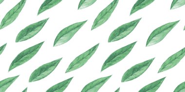 Yapraklı sulu boya deseni.