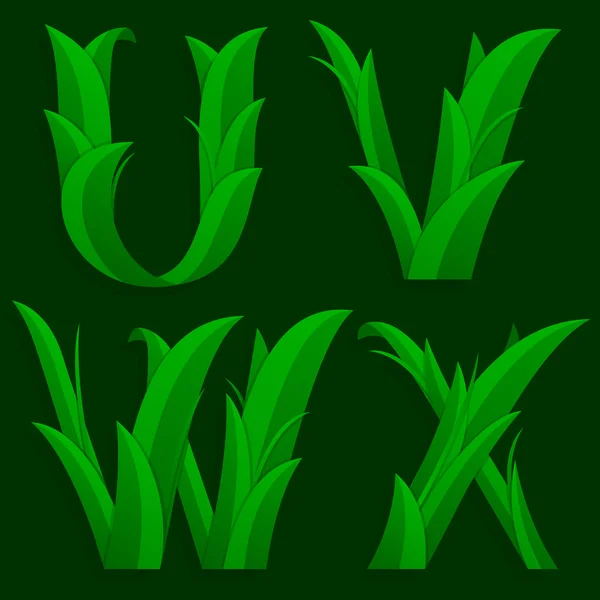 Decorative Grass Initial Letters U, V, W, X. — Stock Vector