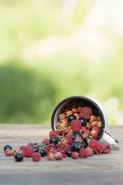 freshly harvested berries in cup on wooden table in garden on blurred background of greenery. Selective focus.