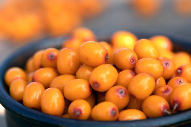 Olgun, sulu, portakallı deniz dikenli üzümlü ve bulanık arkaplanla dolu bir fincan. Doğal karoten.