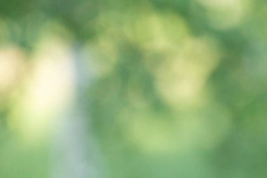 Ağaç yaprakları ve sarı güneş lekelerinin yeşil doğal bulanık arkaplanı