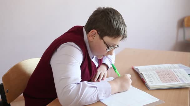 Niño con gafas escribe en un cuaderno sentado en un escritorio — Vídeo de stock