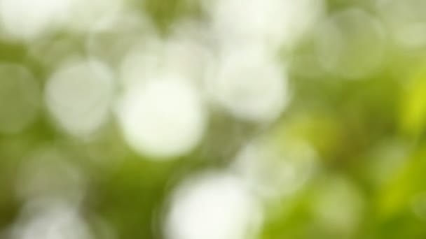 fond abstrait de taches lumineuses bokeh 