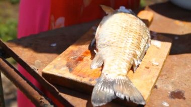 taze balık, yakın çekim kadın temizler