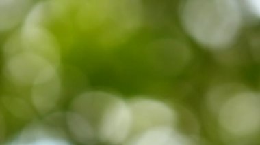 hafif lekeler bokeh arka plan