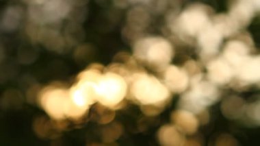 hafif lekeler bokeh arka plan