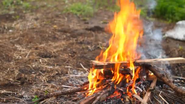 Combustion de poutres en bois, gros plan — Video