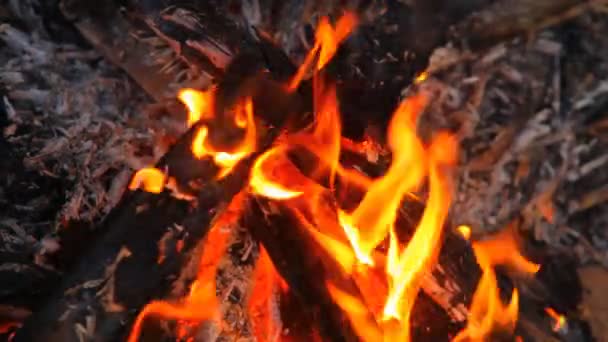 Vigas de madera ardiendo, primer plano — Vídeo de stock