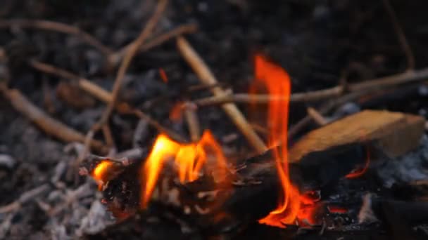 Vigas de madera ardiendo, primer plano — Vídeo de stock