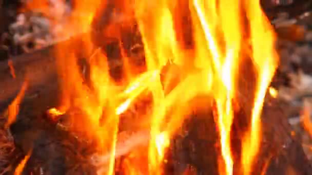 Brinnande träbjälkar, närbild — Stockvideo