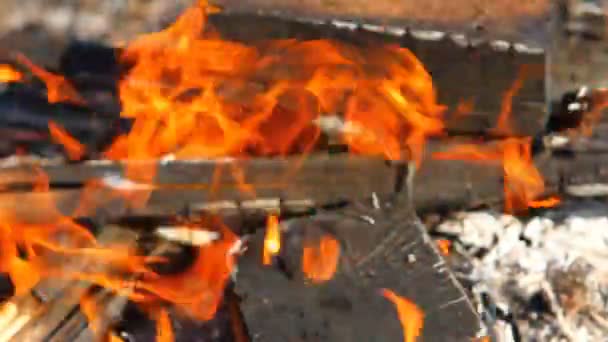 Combustion de poutres en bois, gros plan — Video