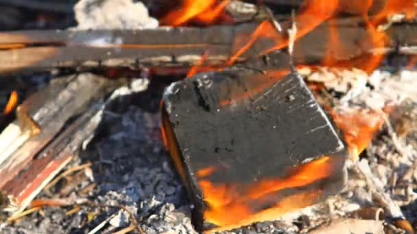 Burning wooden beams, close-up — Stock Video