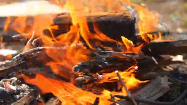 Brennende Holzbalken, Nahaufnahme — Stockvideo