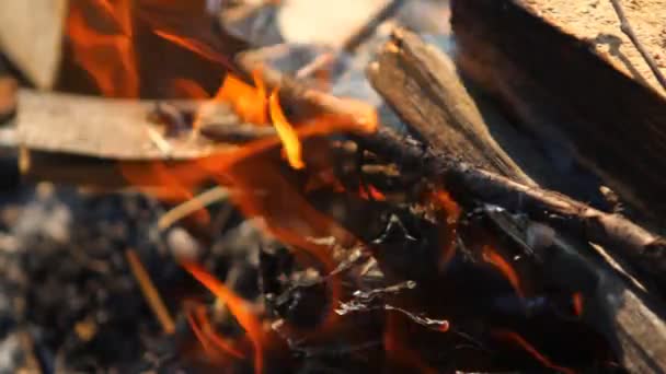 Combustion de poutres en bois, gros plan — Video