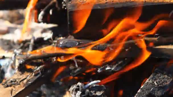 Combustion de poutres en bois, gros plan — Video