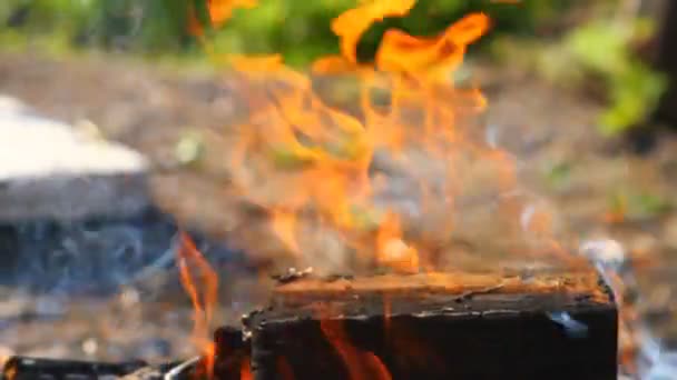 Grinzi de lemn arse, close-up — Videoclip de stoc