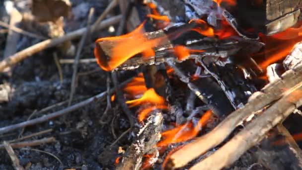 Vigas de madera ardiendo, primer plano — Vídeos de Stock